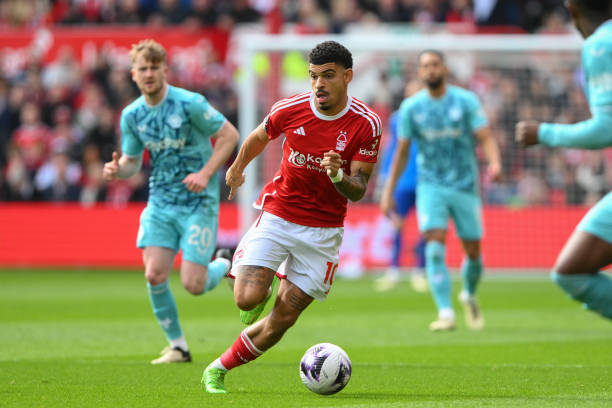 多國內外觀 多國內外觀